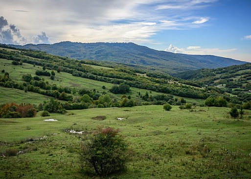 transilvania-and-the-rest-36