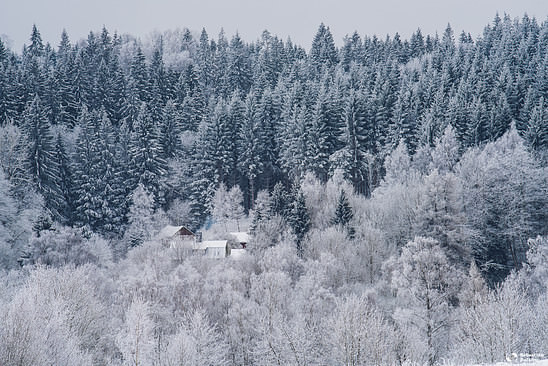 Some Swedish winter