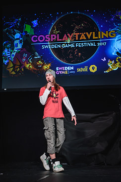 SwedenGameFestival2017_44