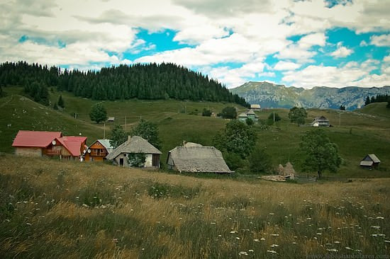 transilvania-and-the-rest-22