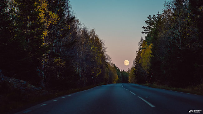 Autumn early moonrise