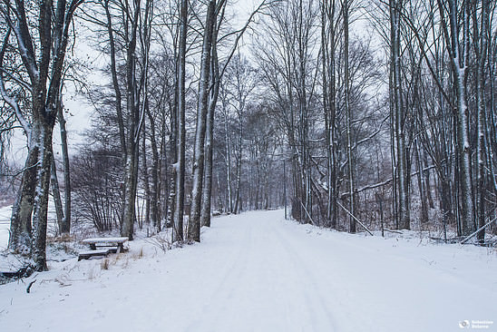 Some Swedish winter