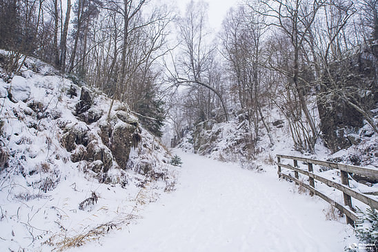 Some Swedish winter