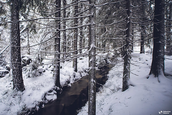 Some Swedish winter