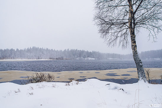 Some Swedish winter