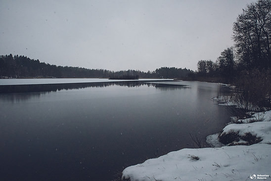 Some Swedish winter