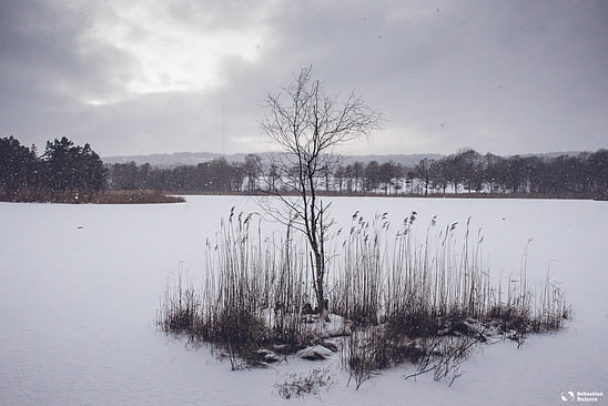 Some Swedish winter