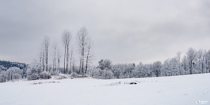 Some Swedish winter