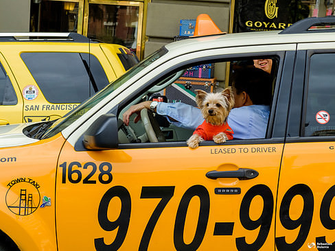 Marketing device installed on cab