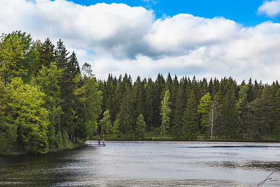 Skövde, Billingen