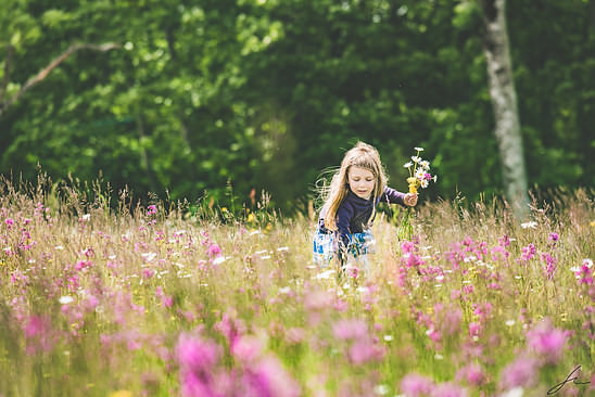 Gathering flowers for the crown