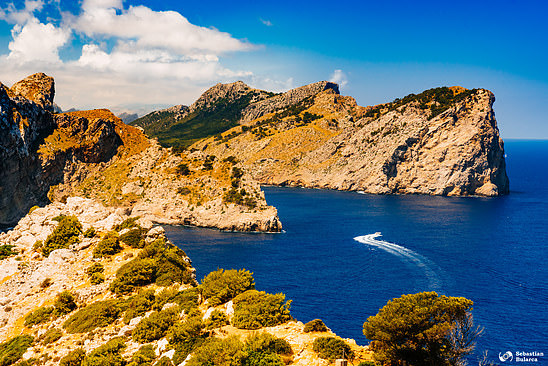 Punda de'n Tomas, Cabo Formentor, Mallorca