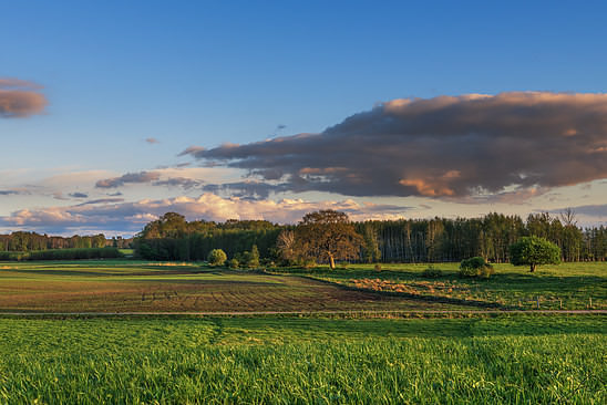 Horizontal light in the North