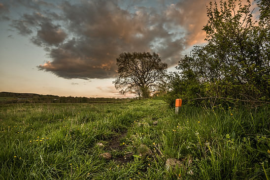 Fallow the path until you get to the Shadow Tree...