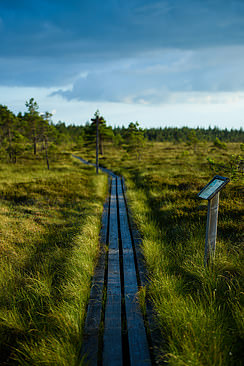 Komosse Naturreservat