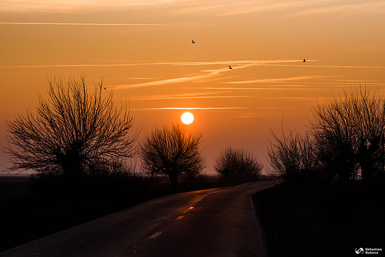 The West Planes, Romania