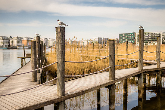 Stockholm, Hammarby Sjöstad