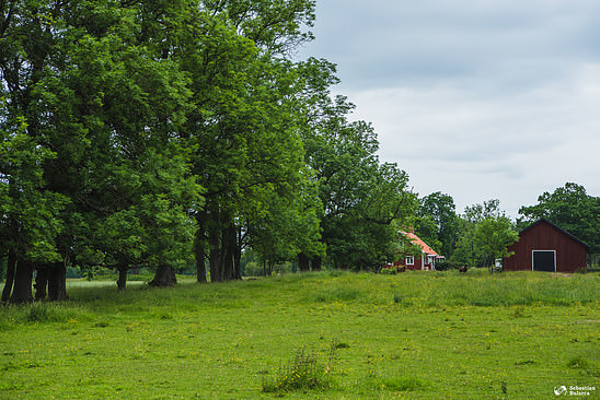 Swedish landscape in Kålandsö