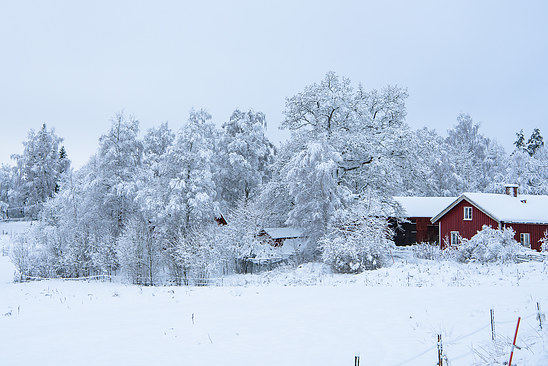 I have dreamed about a small red house in the winter
