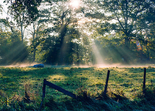 Autumn in the Swedish countryside