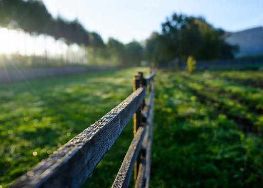 Autumn morning in Transilvania