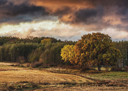 Autumn landscape at Hornborgasjön