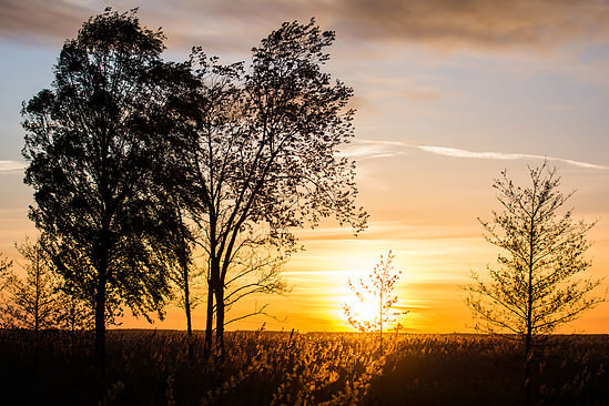 Sunset over Vänern