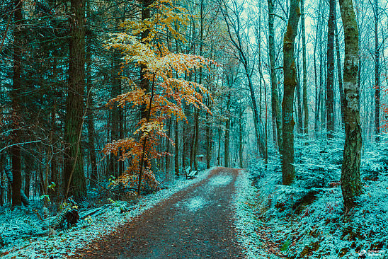 Autumn landscape on Skövde's Ströpen