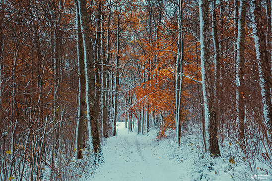 Autumn landscape on Skövde's Ströpen